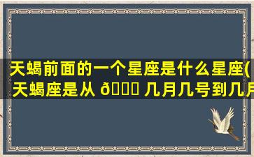 天蝎前面的一个星座是什么星座(天蝎座是从 🕊 几月几号到几月几号)